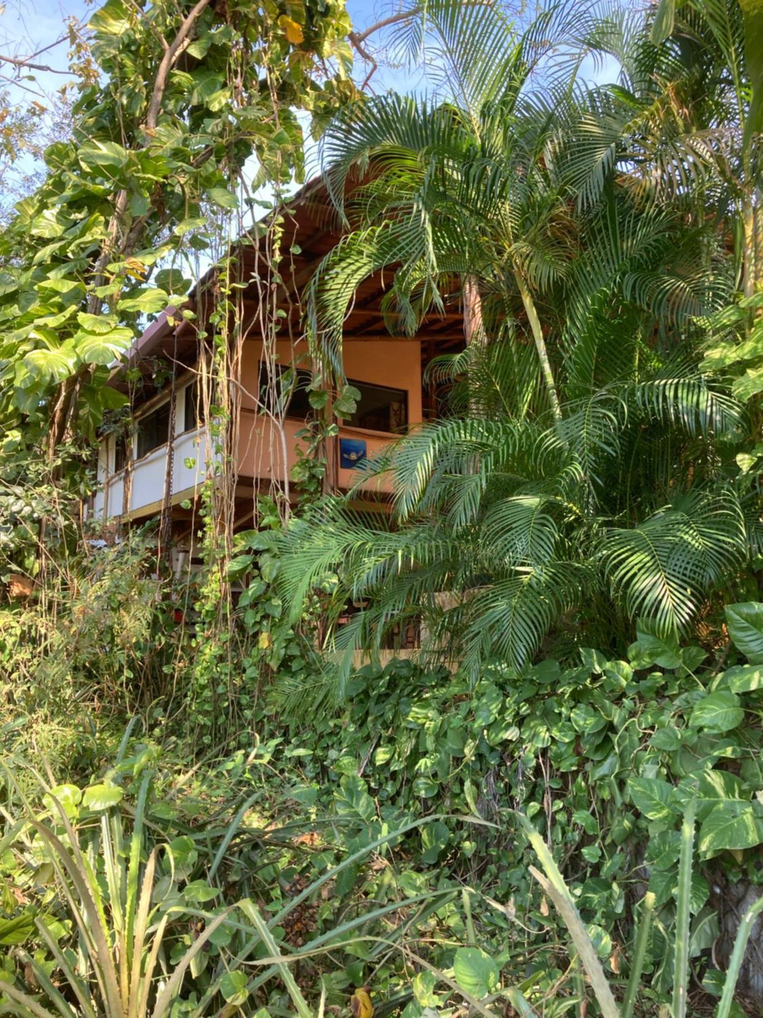 Mundo Milo Eco Lodge Paraíso Екстериор снимка